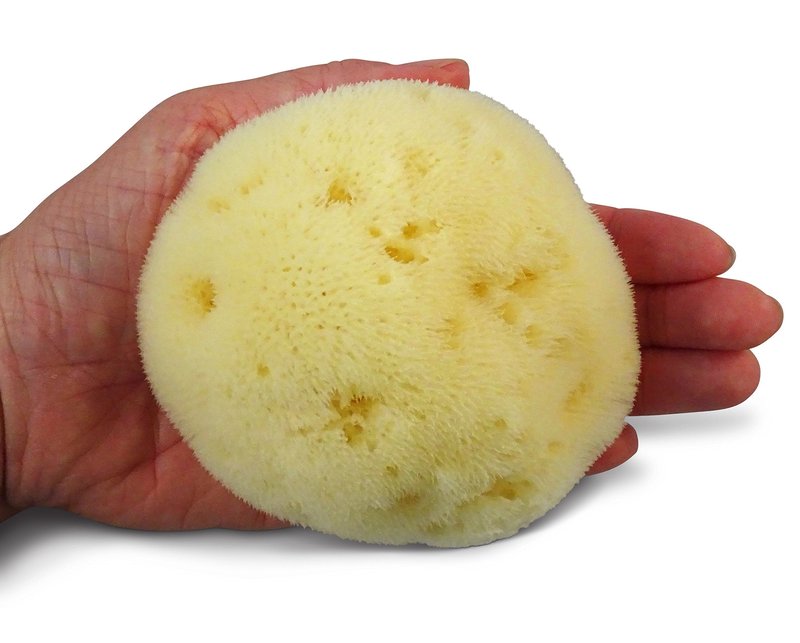 Fina Silk Sponge for Babies - Real Premium Natural Sea Sponge, 4"-4.5" Soft & Fine Pored from The Mediterranean, Gentle on Skin for Newborn & Baby Bath Care by Contented Infant®