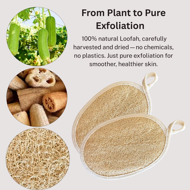 Luxcy Natural Loofah Body Scrubber – Egyptian Shower Sponge for Women & Men, 100% Plant-Based Luffa, Gentle Exfoliating Pads for Bath or Shower, (3 Pack)