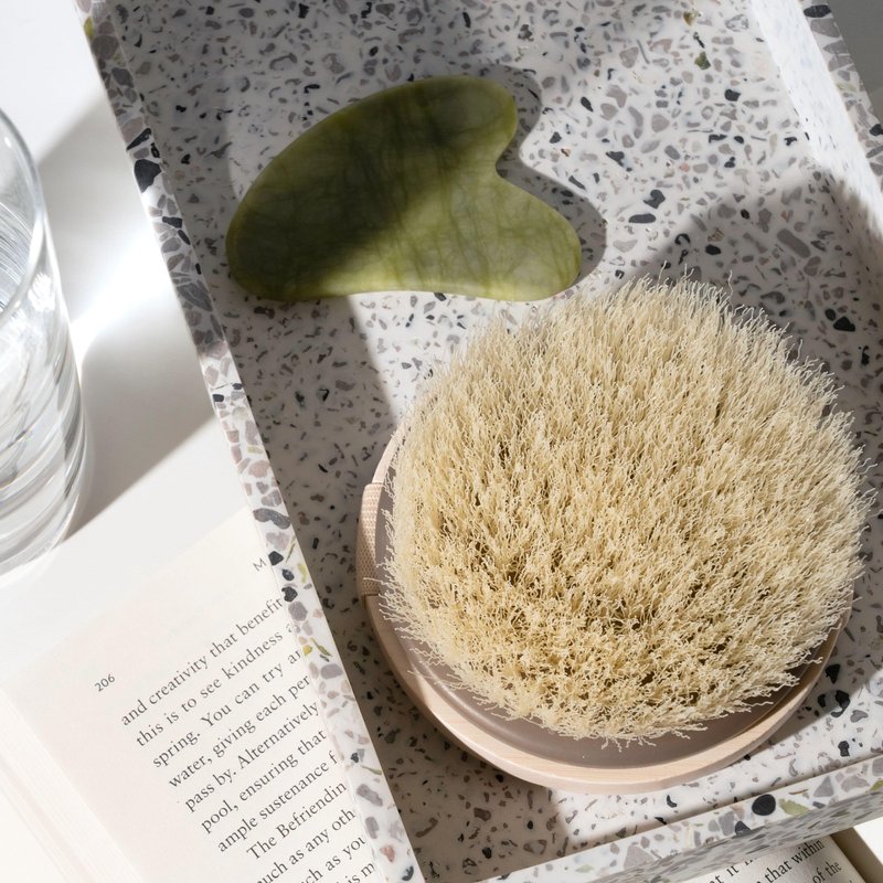 EcoTools Dry Body Brush, for Post Shower & Bath Skincare Routine, Removes Dirt and Promotes Blood Circulation, 1 Count
