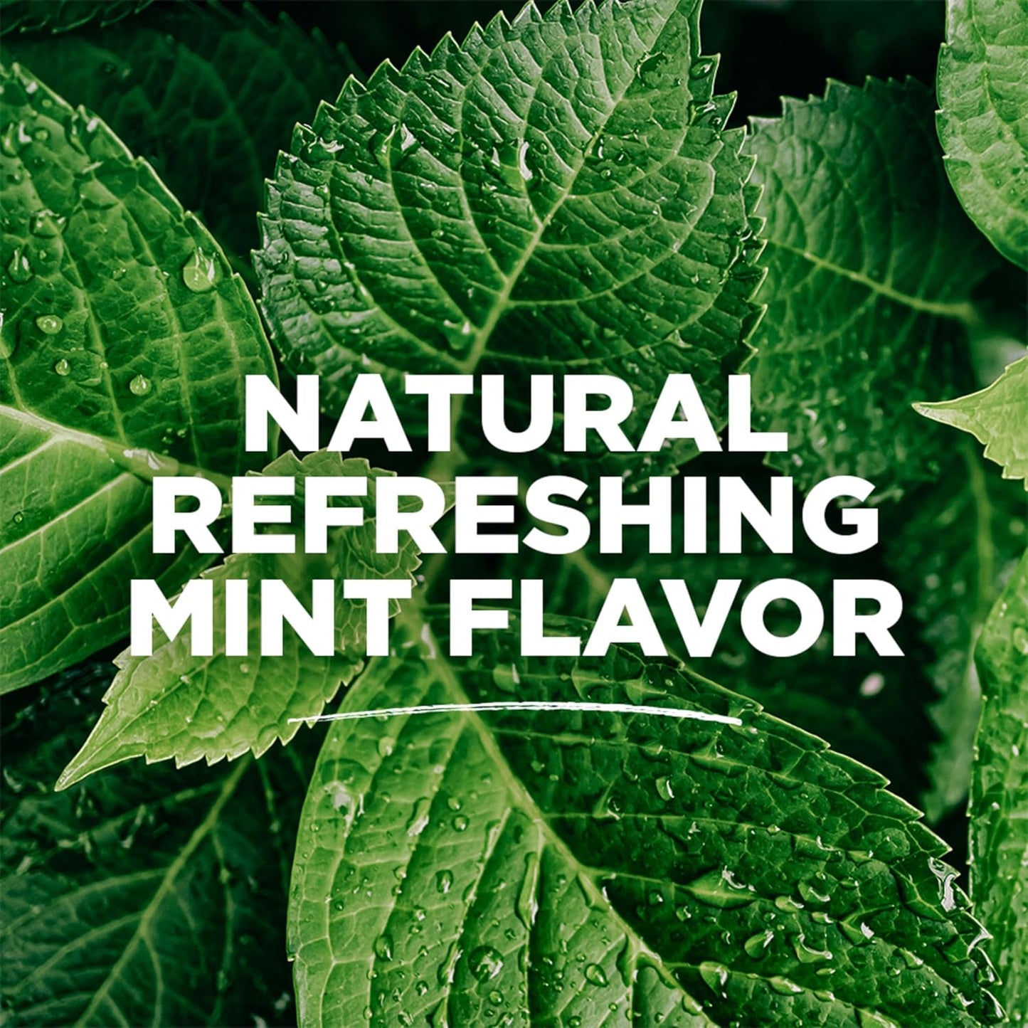 Tom's of Maine Natural Mouthwash - Refreshing Mint Flavor, Alcohol-Free, 16 Fl Oz (Pack of 3)
