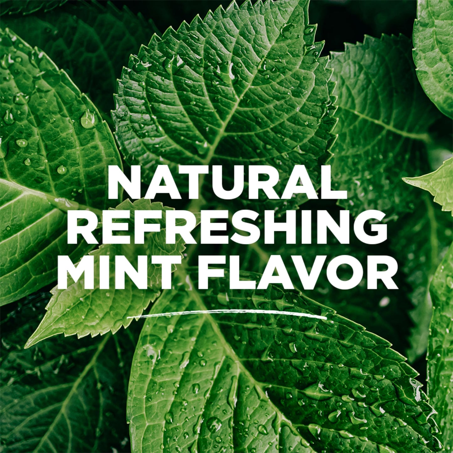 Tom's of Maine Sea Salt Natural Alcohol-Free Mouthwash, Refreshing Mint, 16 Fl Oz (Pack of 3)