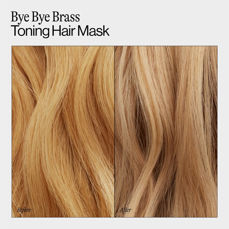 Eva NYC Toning Hair Mask - Anti-Brass Formula for Blonde, Gray + Lightened Hair - Ultra-Violet Pigment and Wild Cherry Bark to Tone and Moisturize - Neutralize Brass - Ginger Rose Scent - 8.4 fl oz