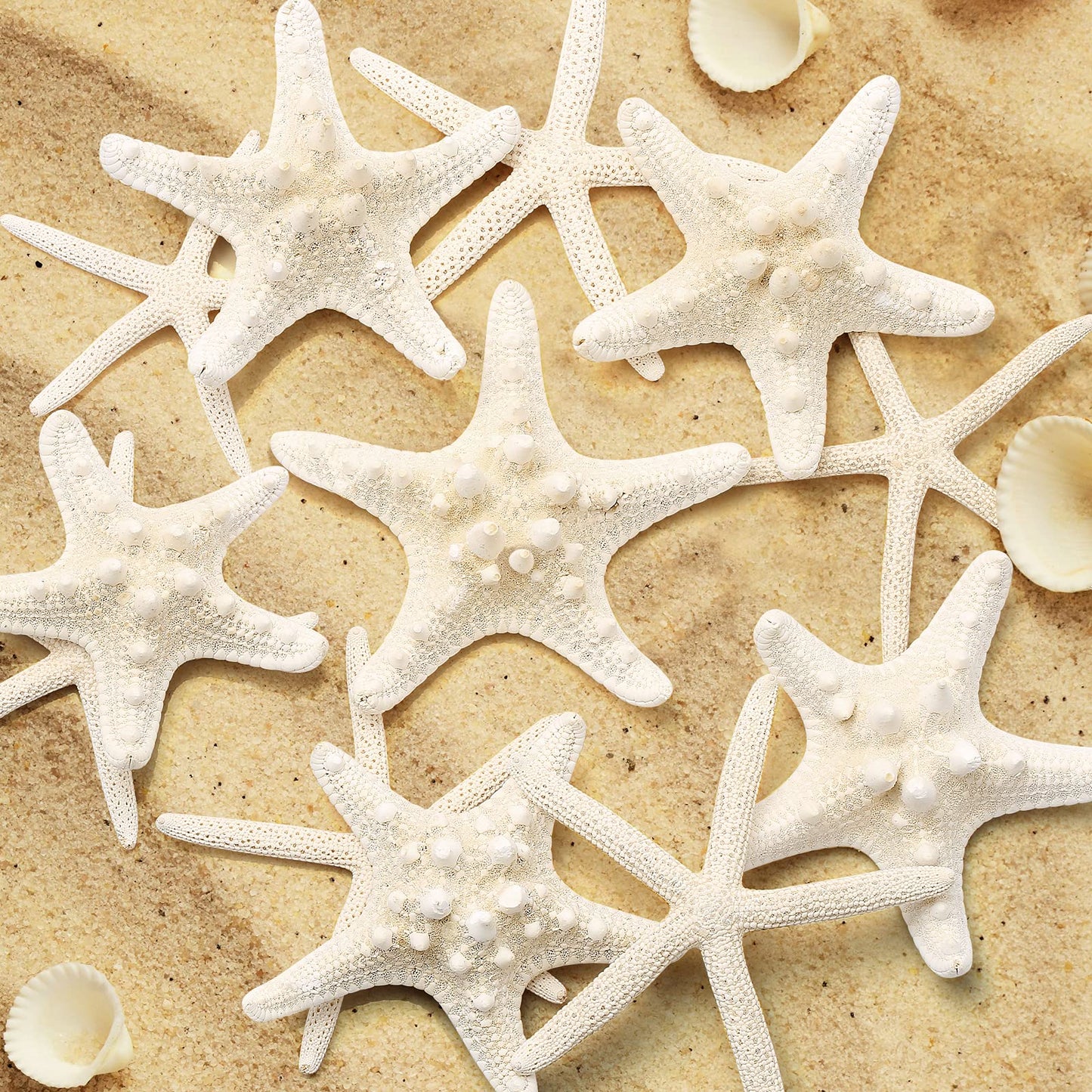 UEIEU 12 PCS Starfish | 2.5-6 Inch Starfish Decor | Natural Bulk Starfish Shells Perfect for Crafts Making Beach Theme Party Wedding Decoration, Home Wall Decor, Christmas Ornaments, Fish Tank