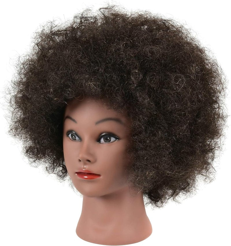 Kinky Curly Mannequin Head - 100% Human Hair for African American Braiding & Styling | Cosmetology Training Display with Stand
