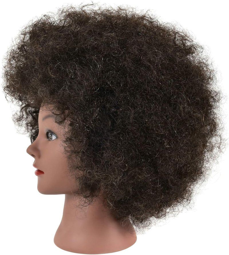 Kinky Curly Mannequin Head - 100% Human Hair for African American Braiding & Styling | Cosmetology Training Display with Stand