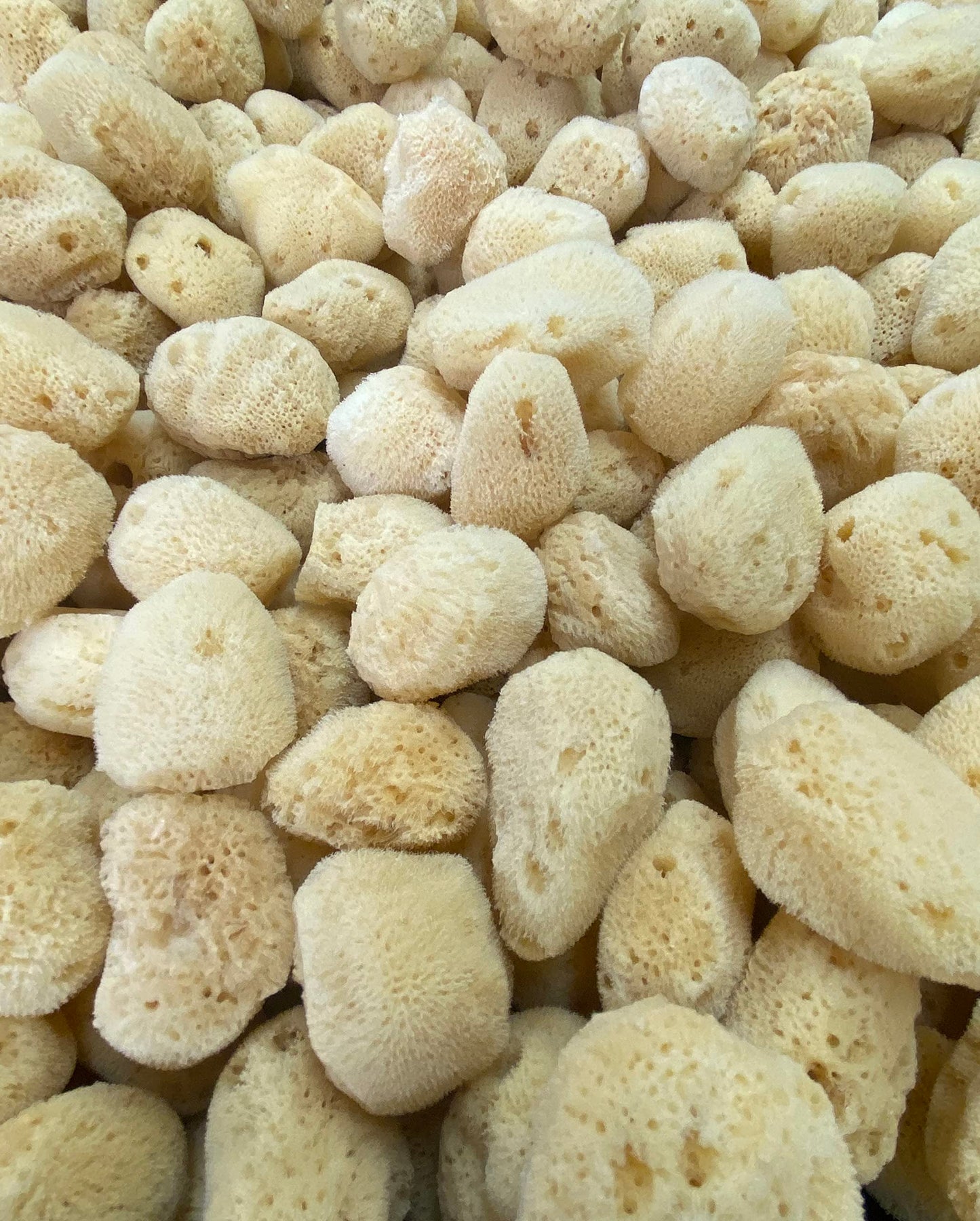 Soft Natural 6 Silk Sponges 1.5"-3" Cosmetic Makeup Application Removal Face Eye Nail Cleaning Like Cotton Balls Awesome Aquatic Creating The Perfect Home Bath & Shower Experience