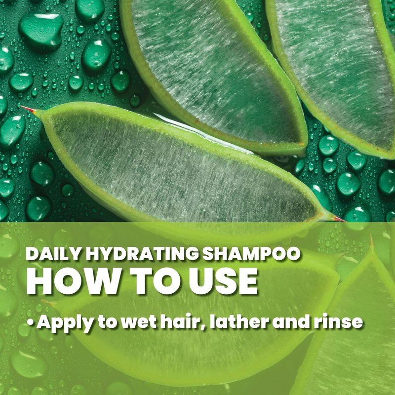 GREAT CLIPS LATITUDE Daily Hydrating Shampoo | Men's Shampoo that Promotes Full + Healthy Hair | For All Hair Types | 12oz | Packaging May Vary