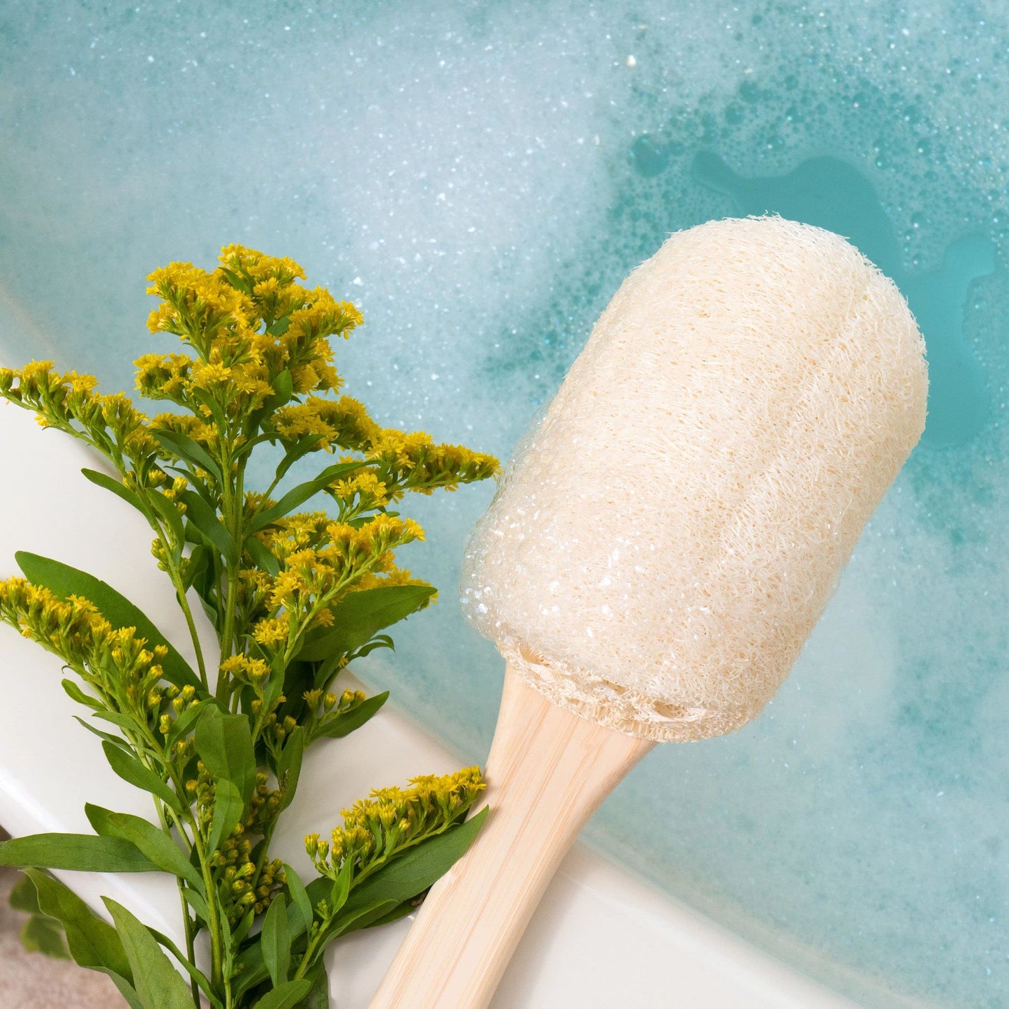 EcoTools 2 Pack Loofah Bath Brush, Back Brush for Bath & Shower, Made with Long Handle & Natural Loofah Material for Exfoliation, Shower Brush for Men & Women, Cruelty-Free