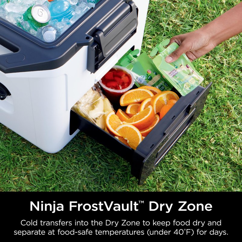 Ninja FrostVault 30qt Hard Cooler with Dry Zone | Integrated Fridge-Temp Dry Storage Drawer | Premium Heavy-Duty Insulated Cooler | Keeps Ice Cold for Days | Strawberry Rhubarb | FB131BP