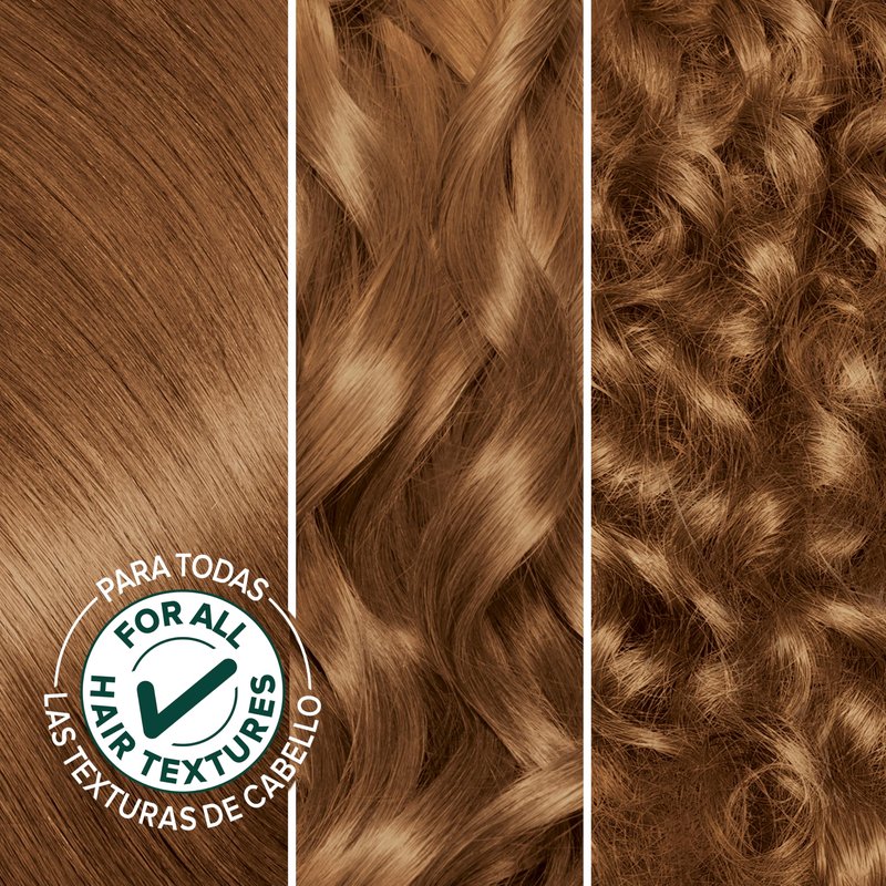 Garnier Nutrisse Ultra Crème Hair Color, Permanent Hair Dye with 100% Gray Coverage, Vegan & Cruelty-Free, 63 Light Golden Brown (Brown Sugar), 2 Count