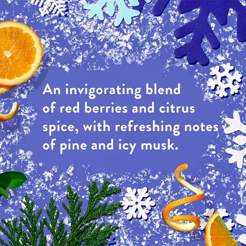 Native Holiday Limited Edition Alpine Air Moisturizing Conditioner and Shampoo - 16.5 fl oz. - Pack Of 02