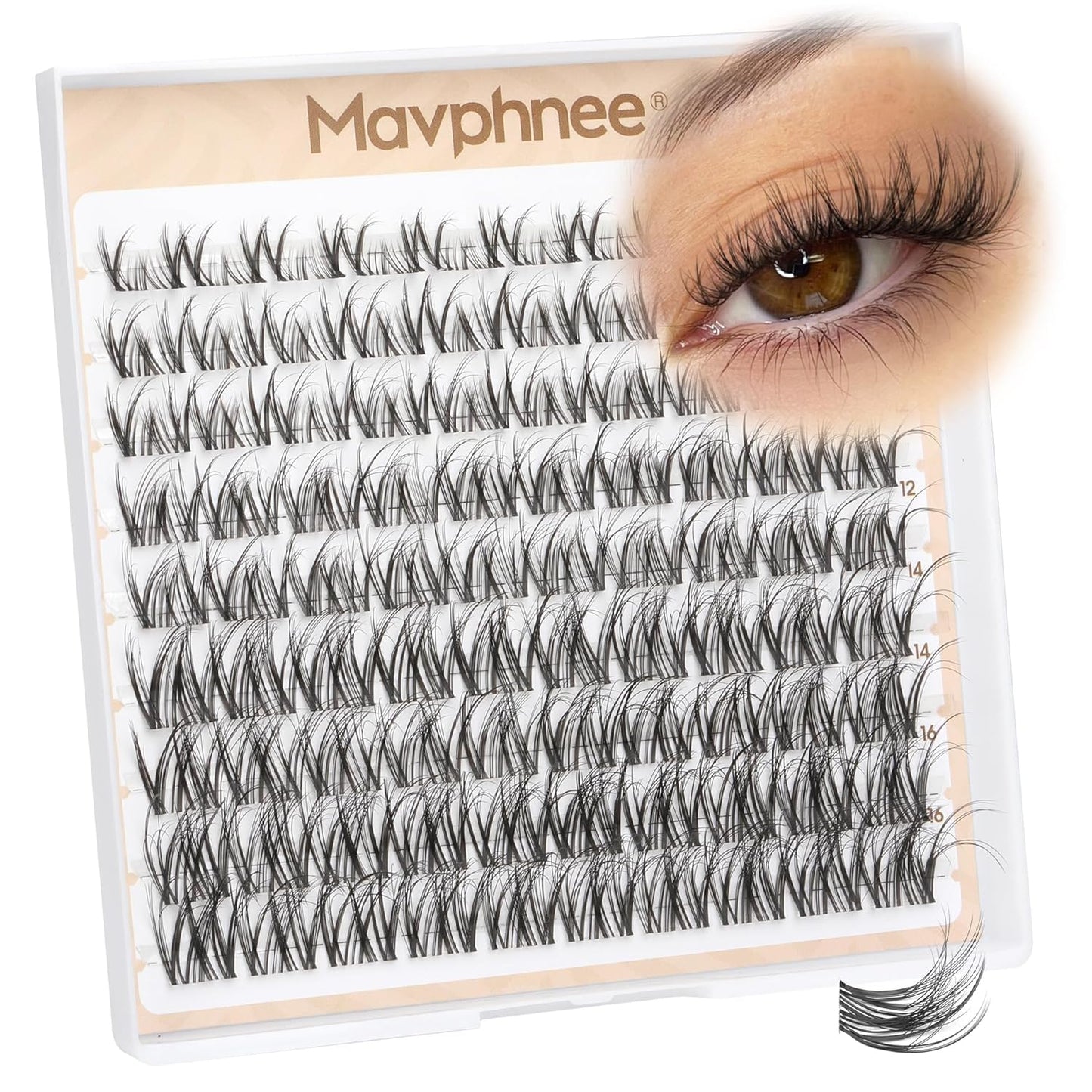 Spider Lash Clusters | Natural Wispy Eyelash Extensions | 8-16MM CC Curl with Flexible Clear Band