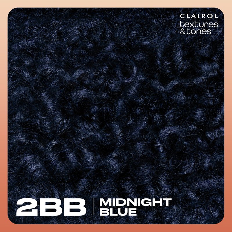 Clairol Textures & Tones Permanent Hair Dye, 2BB Midnight Blue Hair Color | Ammonia-Free | Moisture-Rich Formula with Argan, and Olive Oil for Brilliant Shine | Pack of 1
