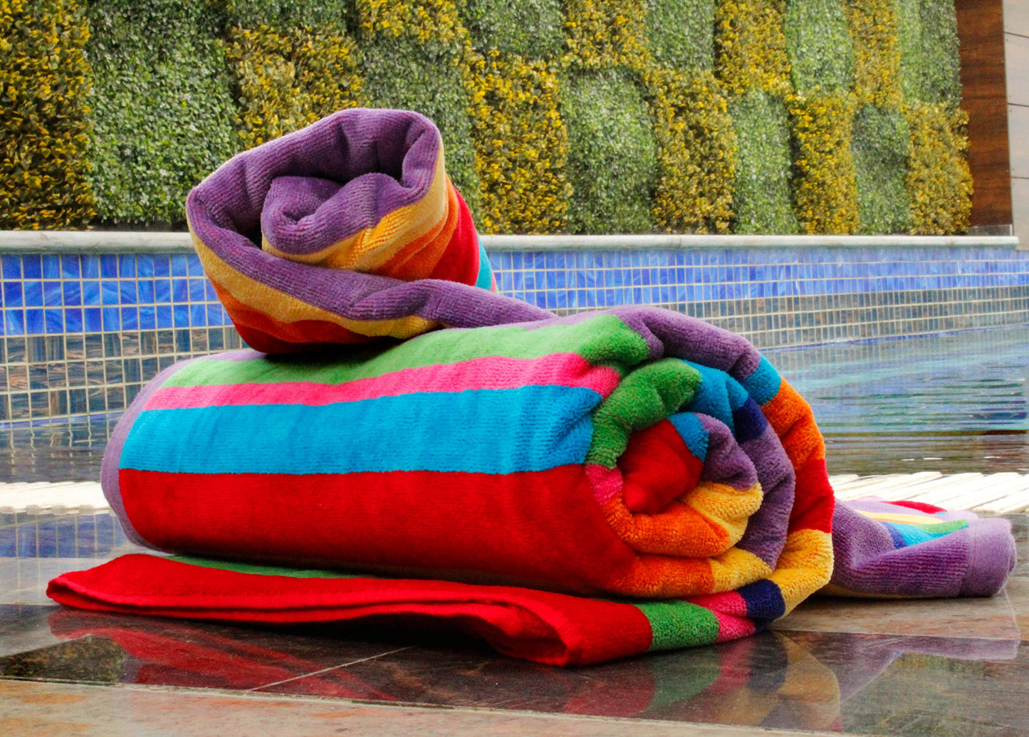 COTTON CRAFT Summer of Siam Extra Wide Beach Towel for Two - 58x68 - Pure Cotton - Double Woven Jacquard Thick Plush Super Soft Luxurious Velour Pile - Pool Picnic Bath - 450 GSM - Multi Color Stripe