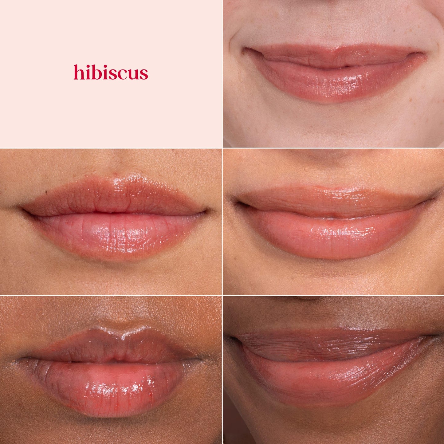 Burt's Bees Lip Tint Balm with Long Lasting 2 in 1 Duo Tinted Balm Formula, Color Infused with Deeply Hydrating Shea Butter for a Natural Looking Buildable Finish, Soft Hibiscus (2-Pack)
