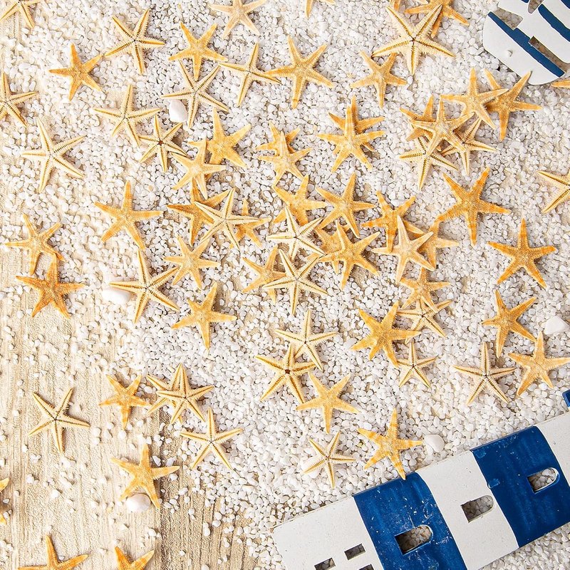 Natural Small Starfish for Crafts - 100 PCS Mini Starfish Decor | 0.4" to 1" for Beach Weddings & DIY Projects