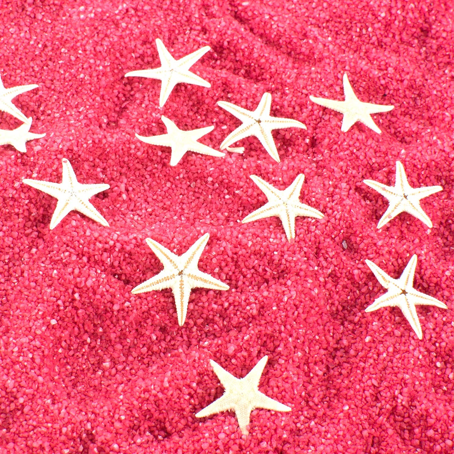 Super Z Outlet Tiny Miniature Fairy Garden Beach Critter Starfish Marine Life Collection for Arts & Crafts Projects, Decorations, Party Favors, Invitations - 90 Pieces