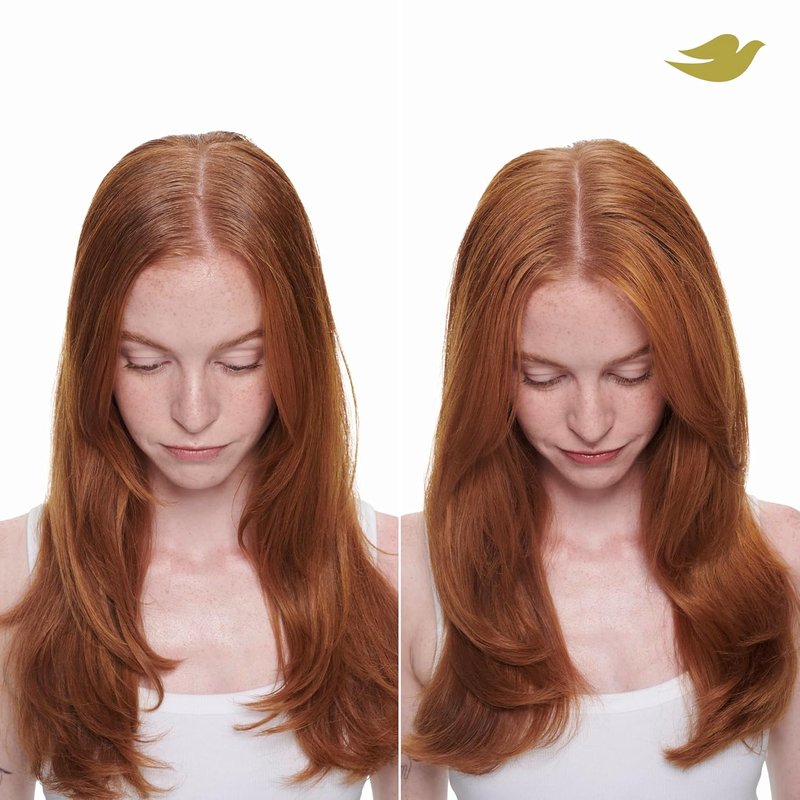 Dove Advanced Dry Shampoo - Fresh Coconut Formula for Clean, Revived Hair | 7.3 oz