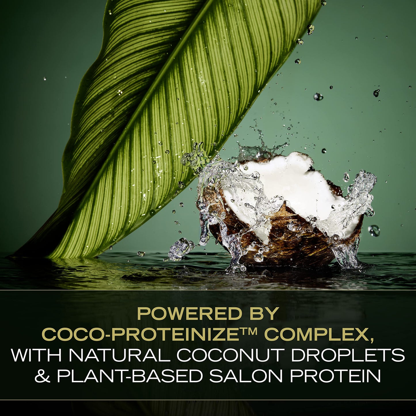 TRESemmé Cruelty-Free Pro Infusion Fluid Volume Conditioner For Full & Silky Hair Infused With Natural Coconut Droplets + Plant-Based Salon Protein + Biotin 16.5oz