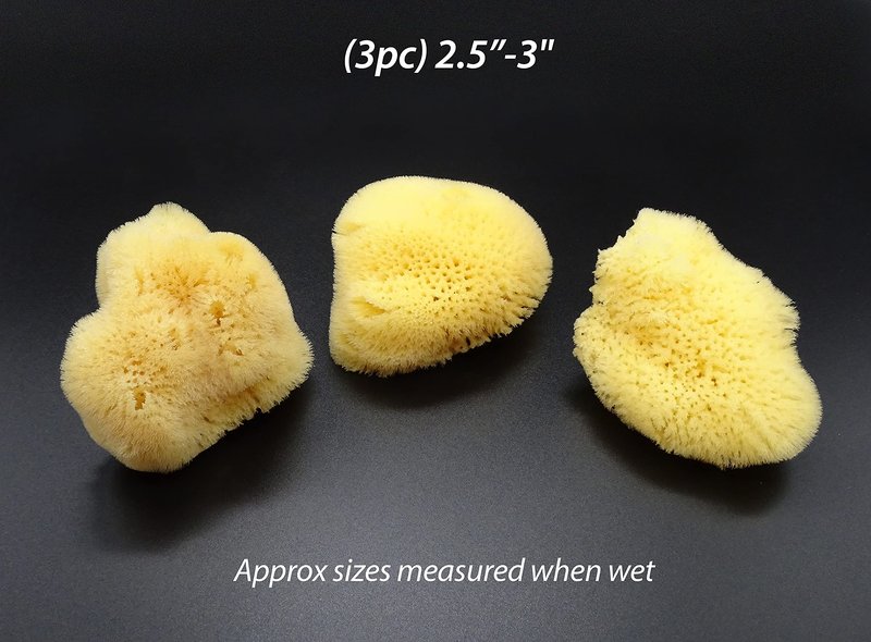 Constantia Beauty® Natural Sea Silk Sponges 12pack, use like Cotton Balls, Cosmetic Grade, Makeup Application Blending & Removal, Face & Eye Cleaning, Size 9pc x1.5"-2.5" 3pc x 2.5"-3" Reuseable Bag