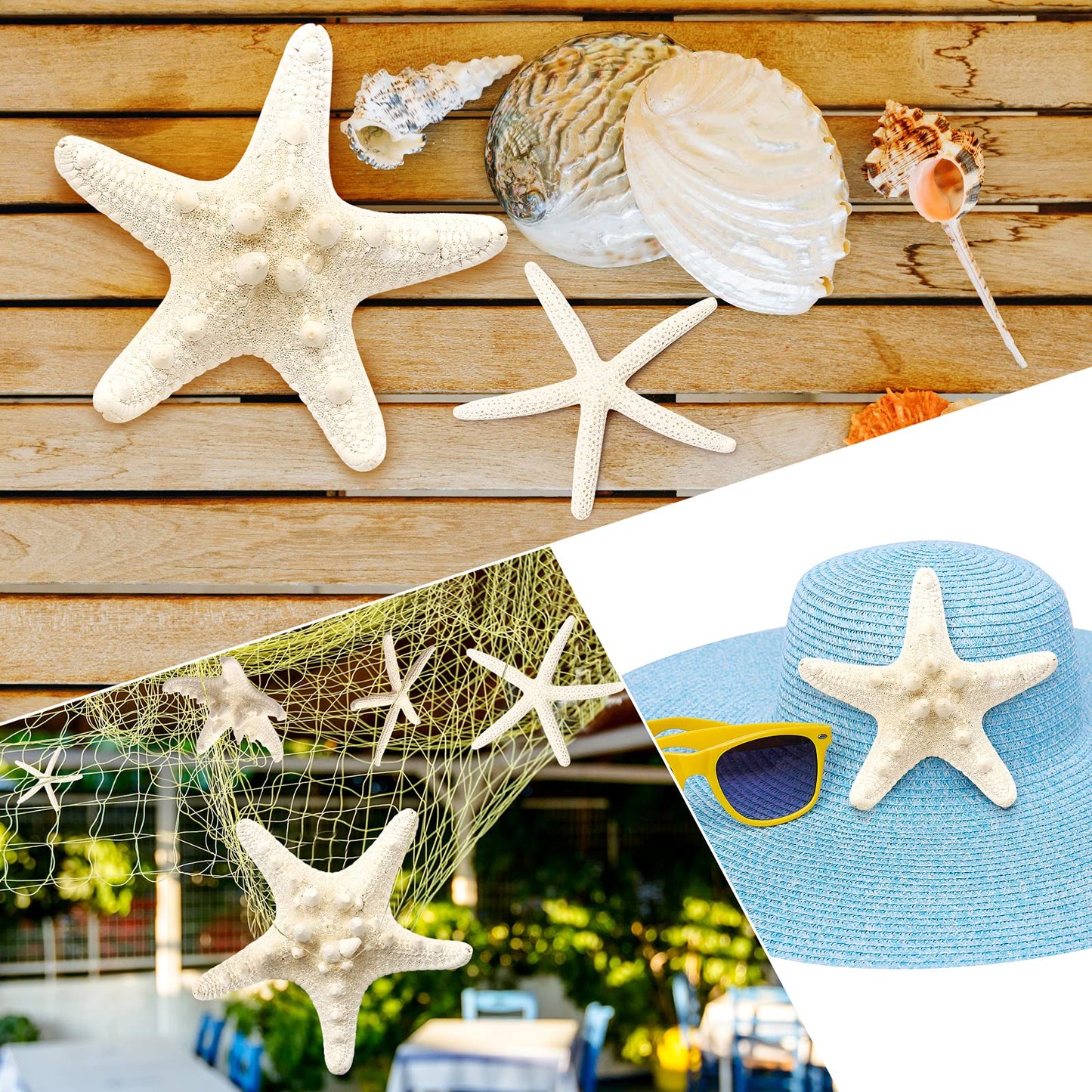 UEIEU 12 PCS Starfish | 2.5-6 Inch Starfish Decor | Natural Bulk Starfish Shells Perfect for Crafts Making Beach Theme Party Wedding Decoration, Home Wall Decor, Christmas Ornaments, Fish Tank