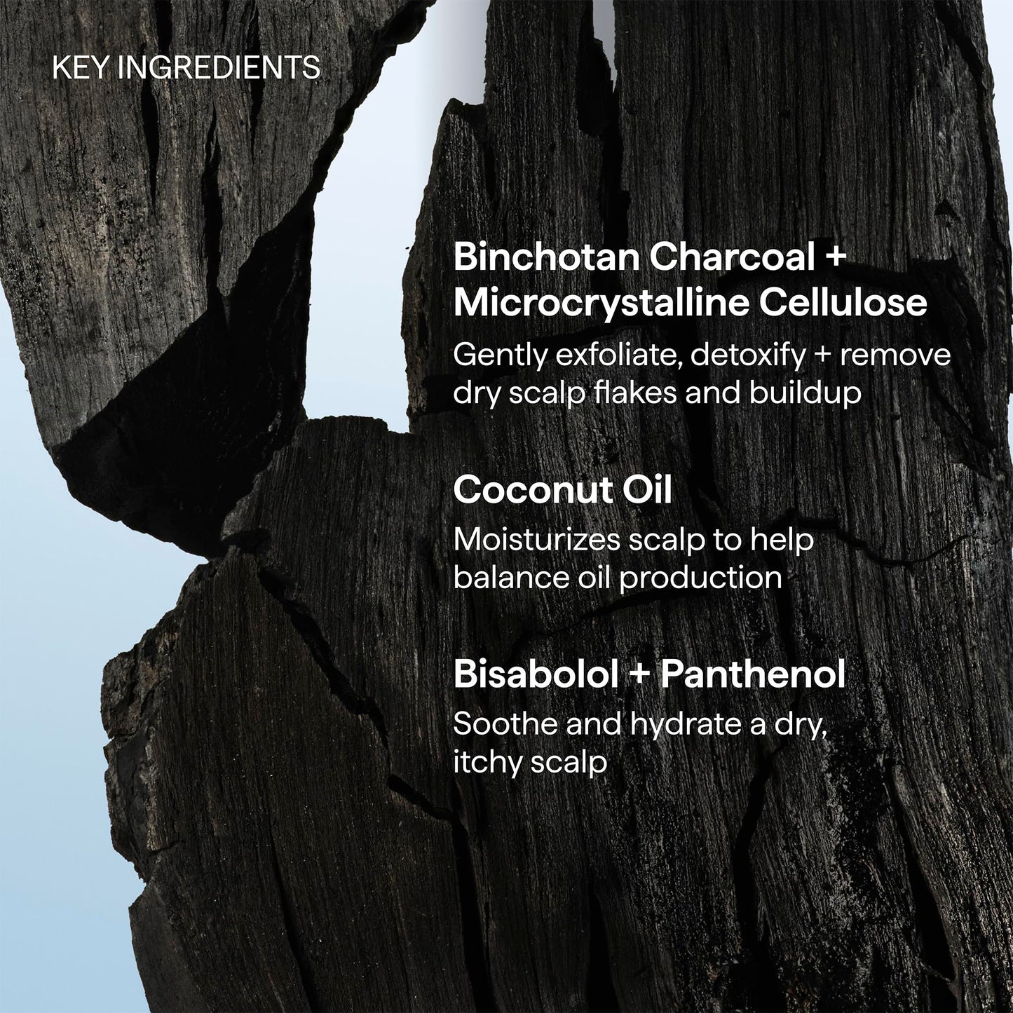 Briogeo Scalp Revival Charcoal + Coconut Oil Micro-Exfoliating Shampoo | Sulfate-Free Scalp Scrub for Dry, Itchy, or Oily Scalp | Detoxifying & Hydrating | Vegan & Cruelty Free | 8 oz