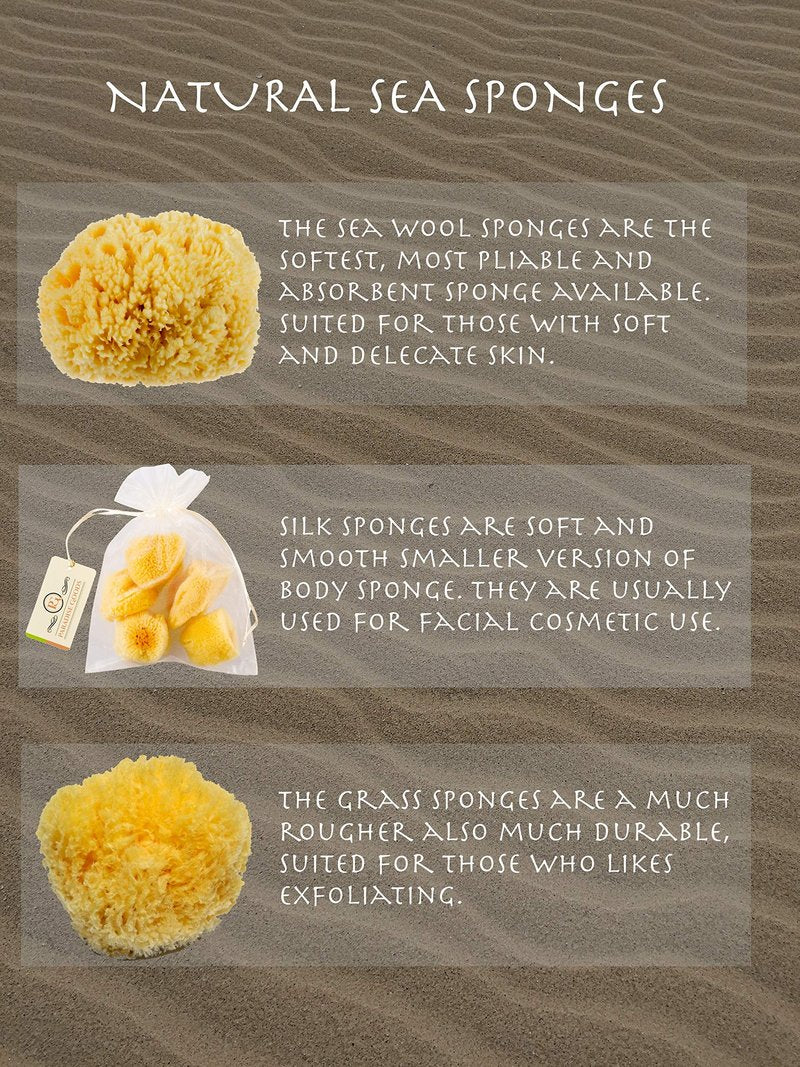 Natural Yellow Sea Wool Sponge 6 Inches. Perfect for Bath, Shower & Body Care. Super Soft & Not Skin Irritating. Baby Approved. Luxury Sponge in a Bag & Craft Box