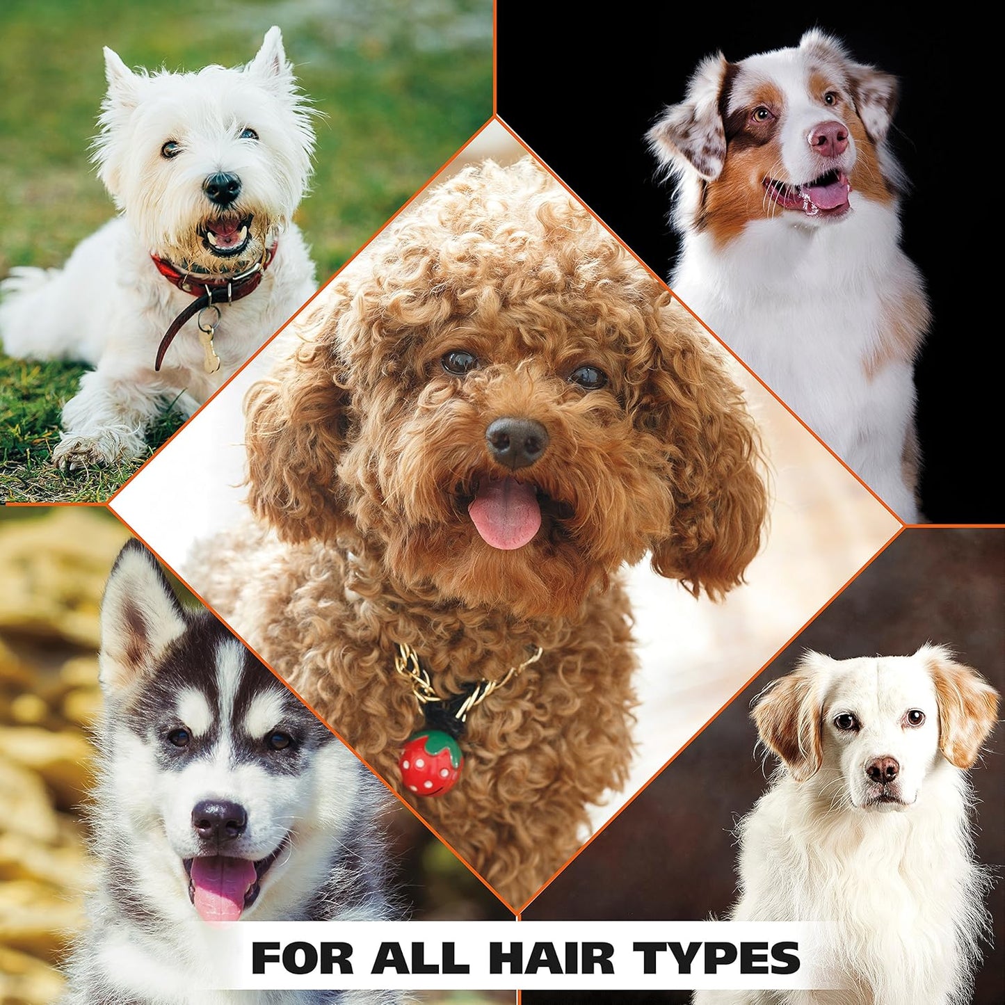 Wahl USA Pet Shampoo - Dry Skin & Itch Relief Oatmeal Formula with Coconut Lime Verbena, 24 Oz